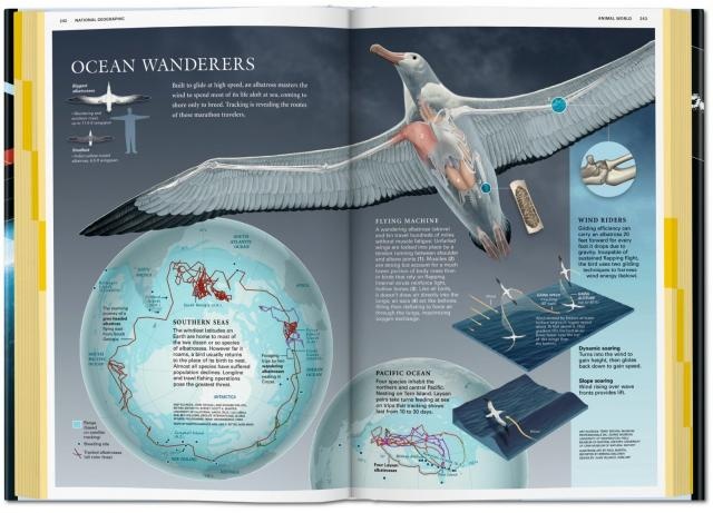 National Geographic Infographics