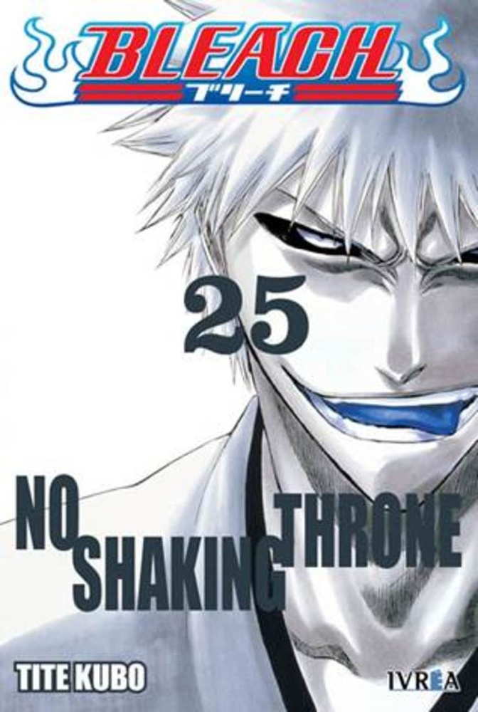 Bleach 25