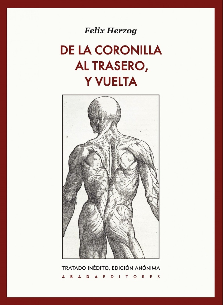 De la coronilla al trasero, y vuelta