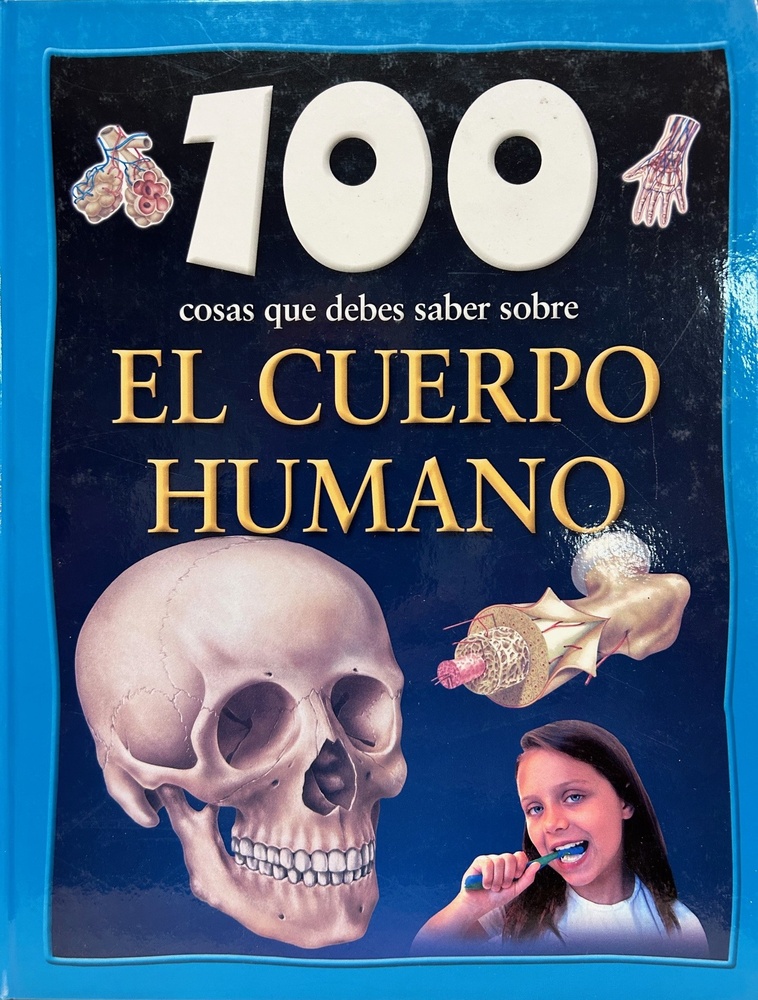 El Cuerpo humano