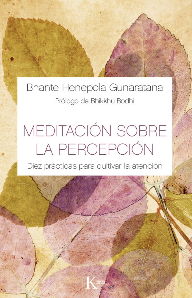 Meditacion sobre la percepcion