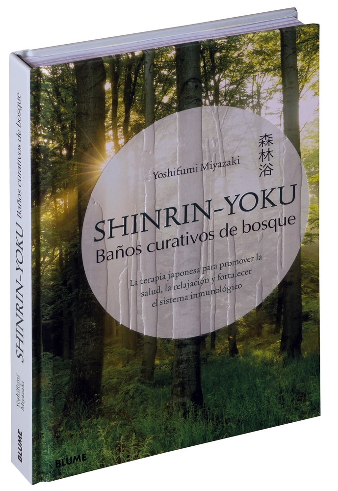 Shinrin-Yoku. Baños curativos de bosque