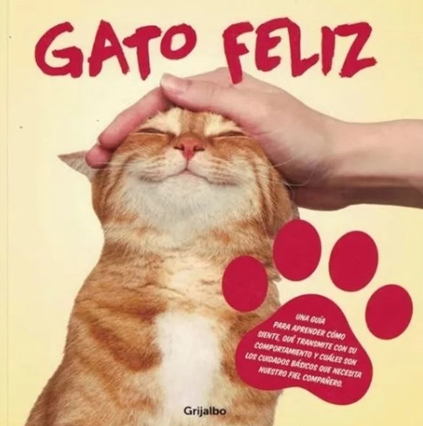 Gato feliz