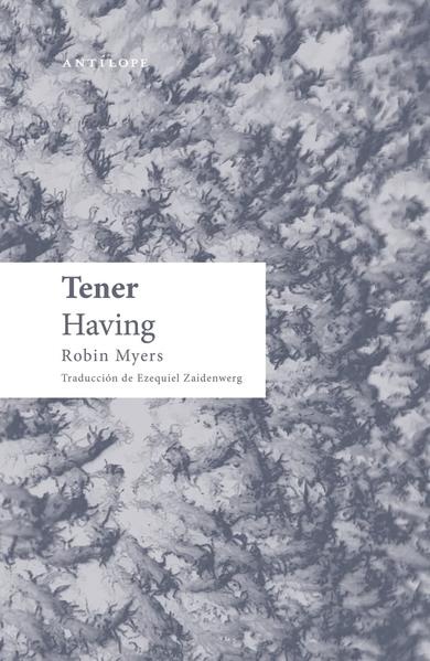 Tener / Having