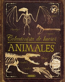 Coleccion de huesos animales