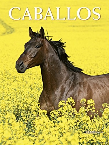Caballos