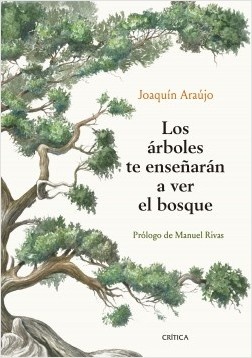 Los arboles te enseñaran a ver el bosque