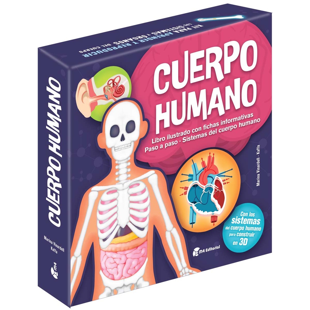 Cuerpo humano