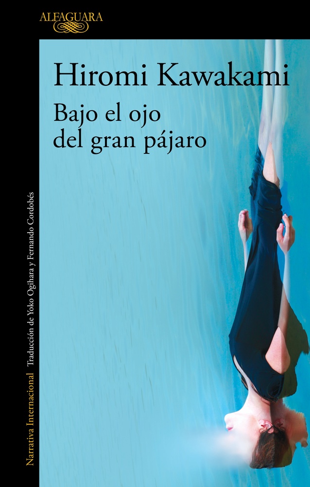 Bajo el ojo del gran pajaro