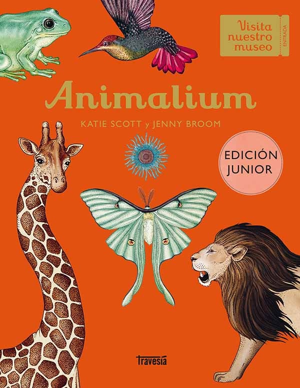 Animalium - junior edition