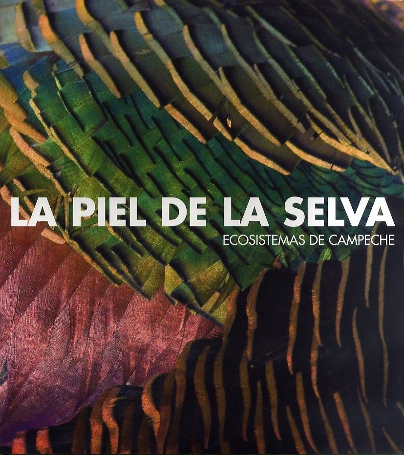 La Piel De La Selva