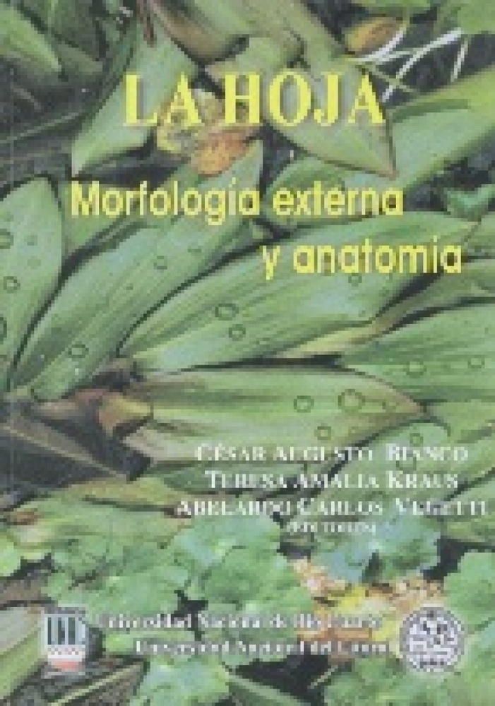La Hoja, morfología externa y anatomía
