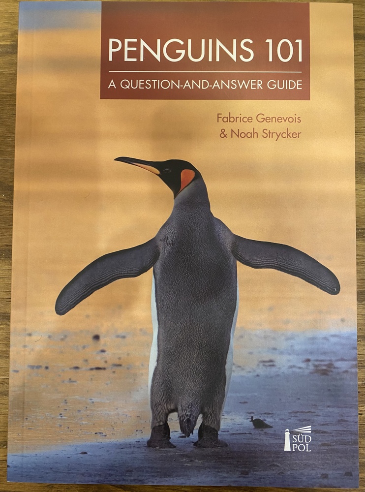 Penguins 101: A question-and-answer guide
