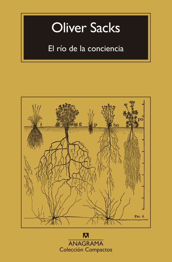 El río de la conciencia