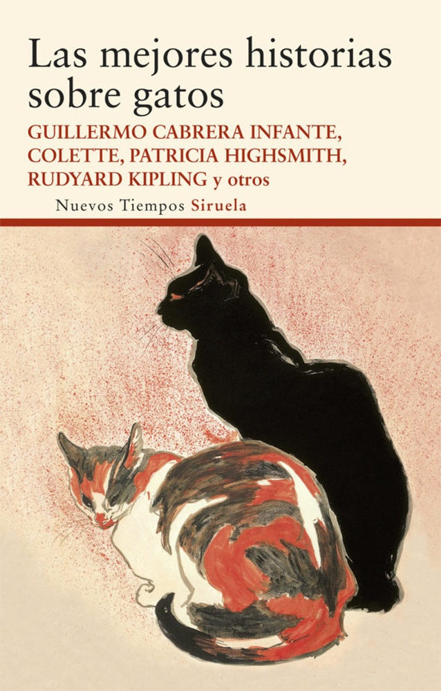 Las Mejores historias sobre gatos