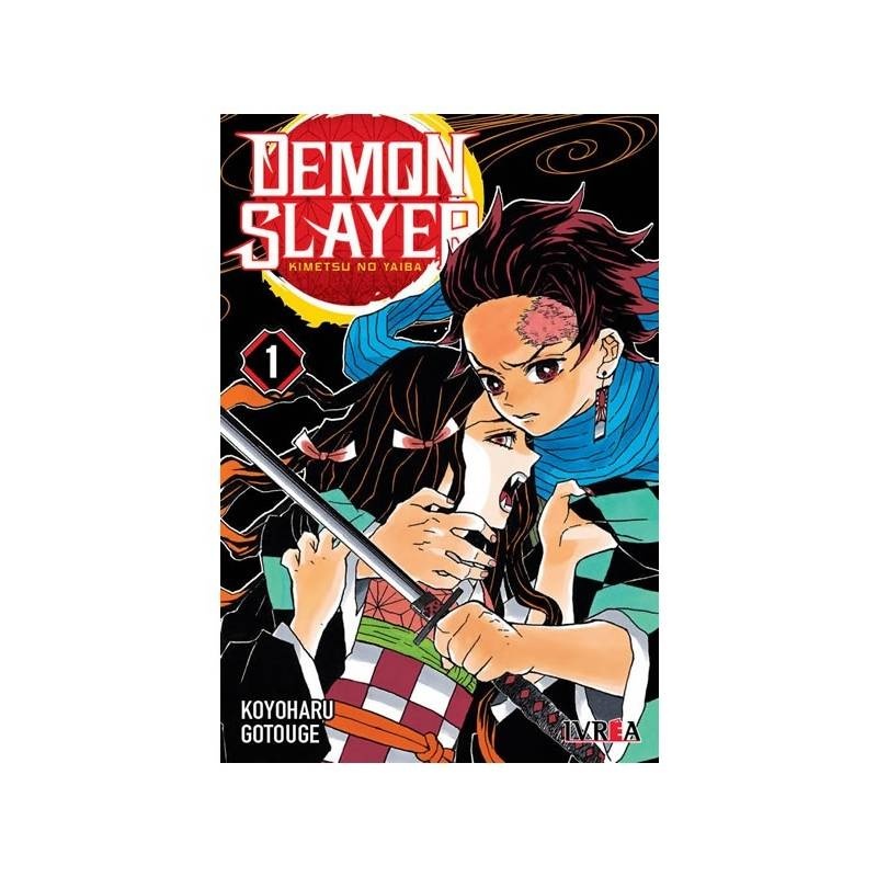 Demon Slayer - Kimetsu No Yaiba 01