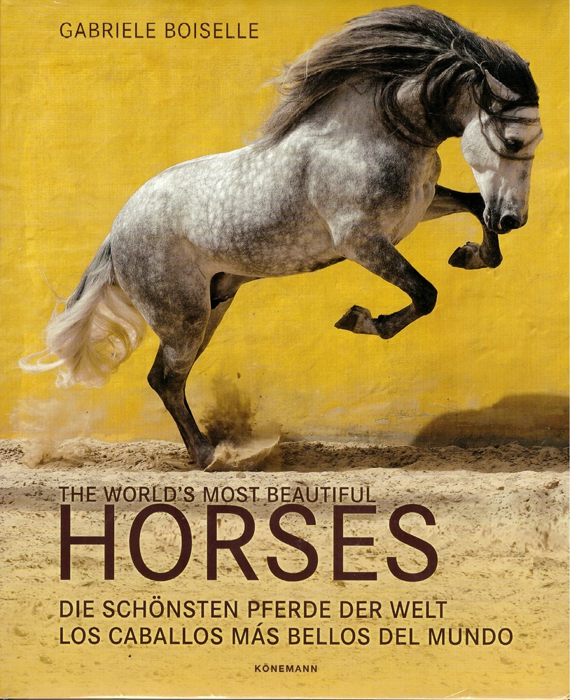 The world's most beautiful horses - los caballos más hermosos del mundo