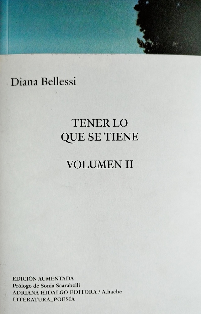 Tener lo que se tiene