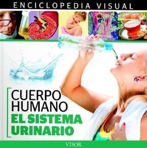 Cuerpo humano: El sistema urinario