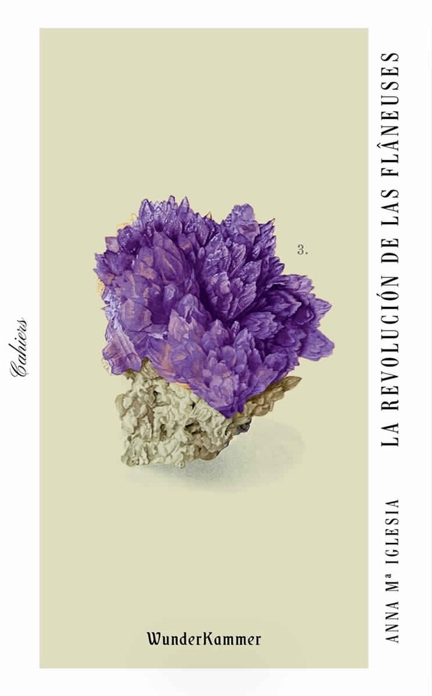 La Revolucion de las flaneuses