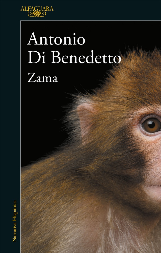 Zama