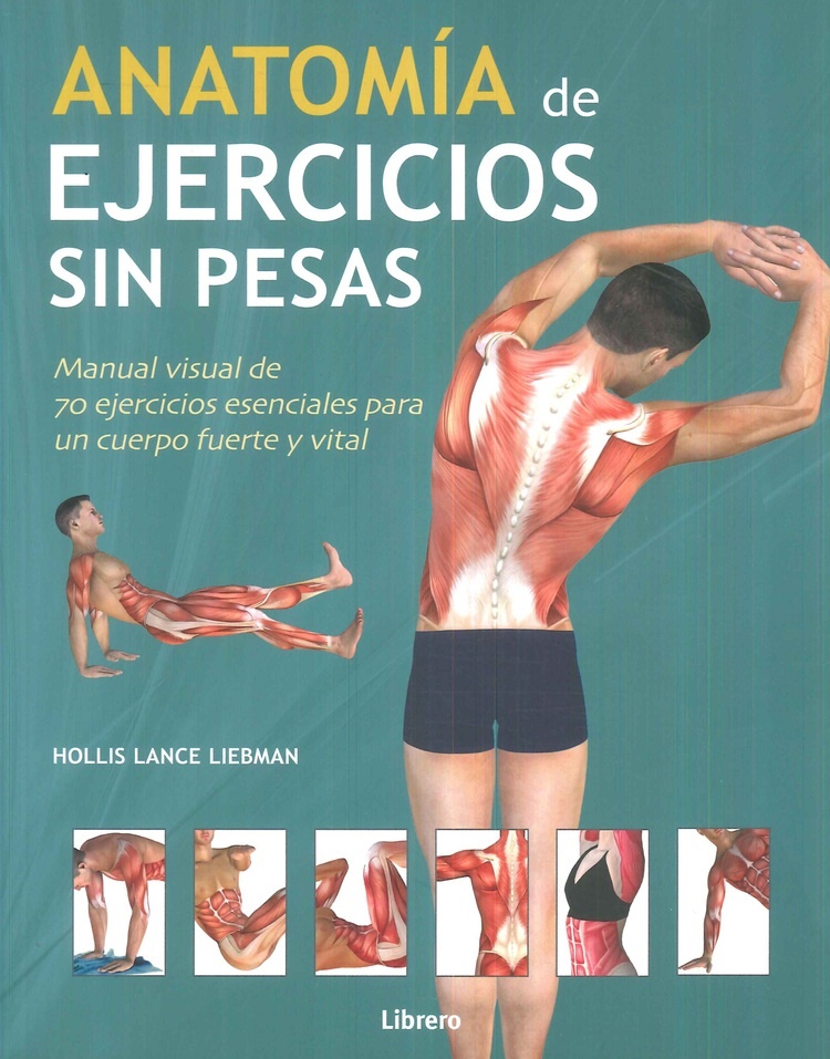Anatomia De Ejercicios Sin Pesas