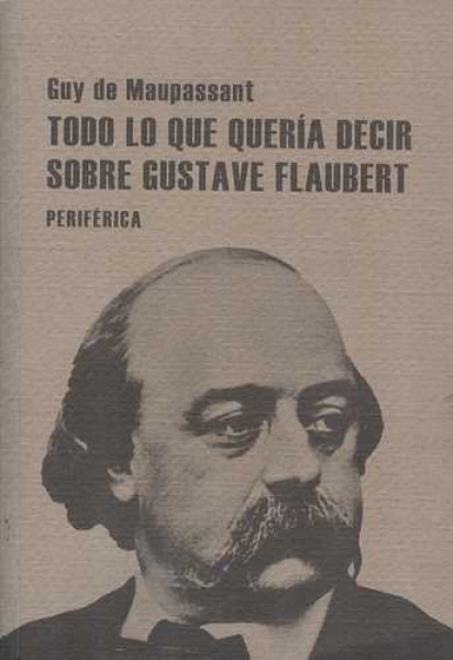 Todo lo que queria decir sobre Gustave Flaubert