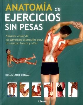 Anatomia De Ejercicios Sin Pesas