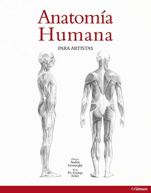 Anatomía humana para artistas