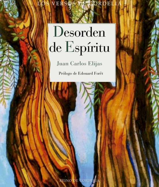 Desorden de espíritu