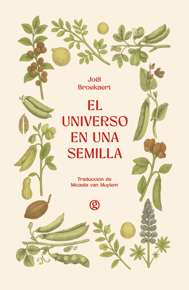 El universo en una semilla