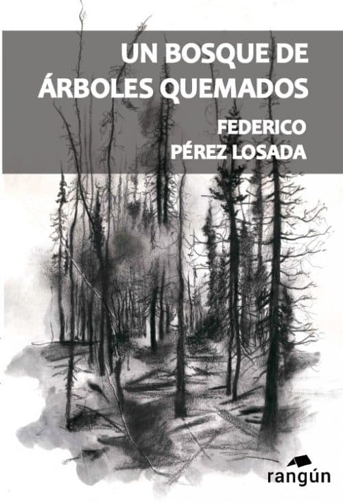 Un bosque de árboles quemados