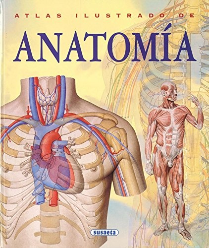 Atlas ilustrado de anatomia