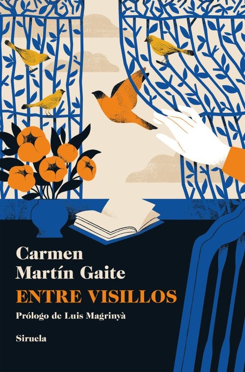 Entre visillos