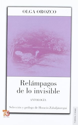 Relampagos de lo invisible