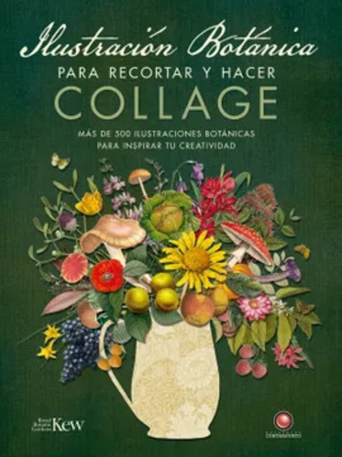 Ilustración botánica para recortar y hacer collage