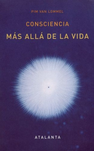Consciencia mas alla de la vida