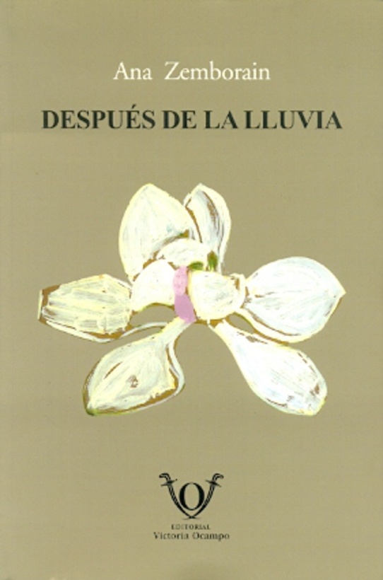 Despues de la lluvia