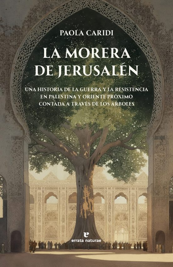 La morera de Jerusalén