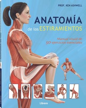 Anatomia De Los Estiramientos