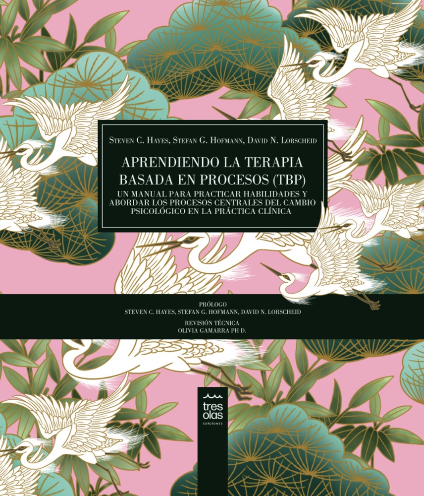 Aprendiendo la terapia basada en procesos