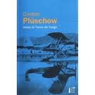 Silberkondor über Feuerland