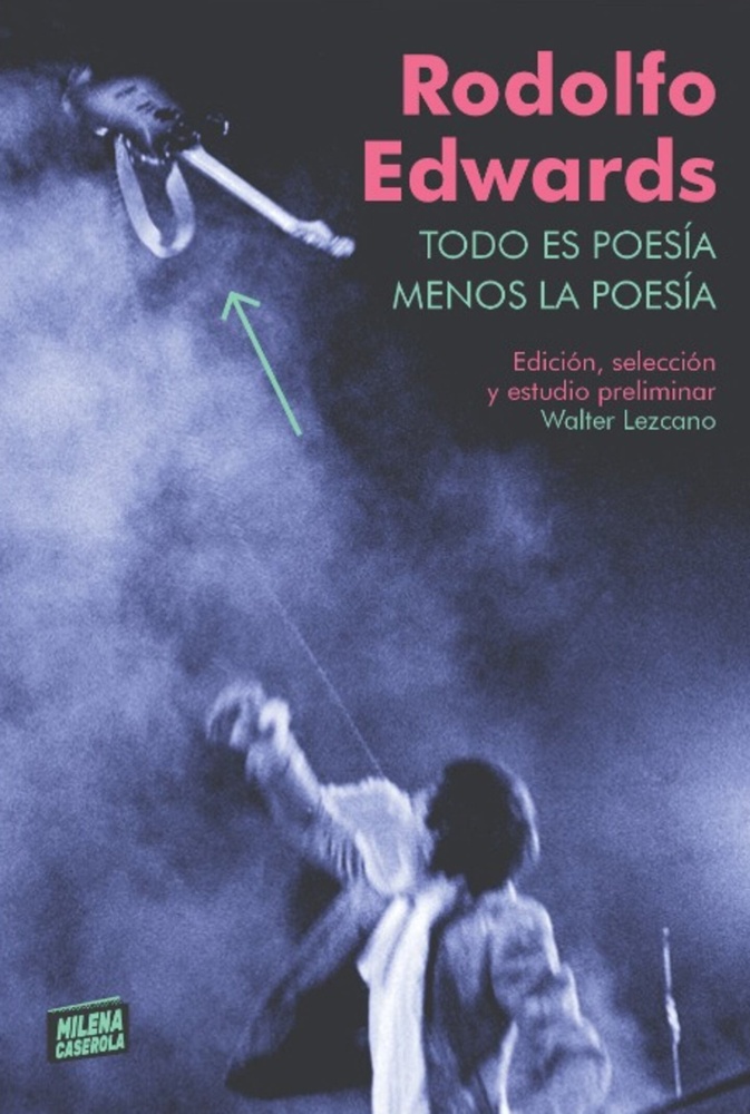 Todo es poesía, menos la poesía