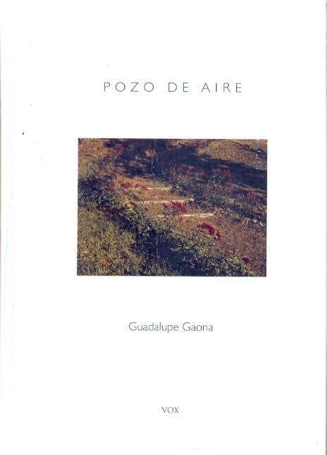 Pozo de aire