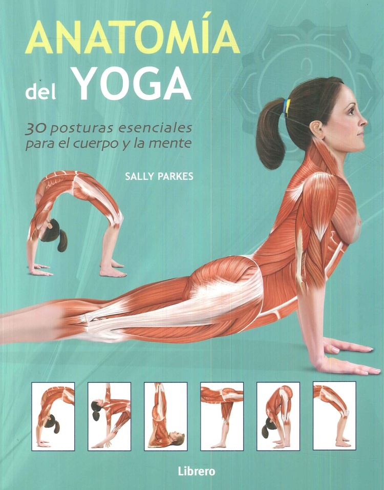 Anatomia del yoga