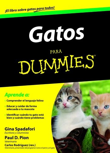 Gatos para dummies