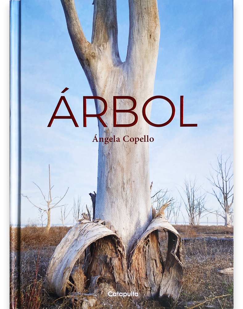 Árbol