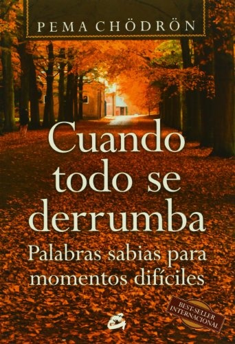 Cuando todo se derrumba