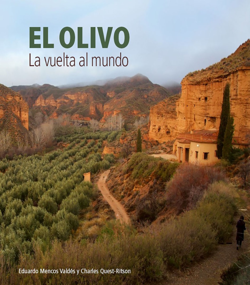 El olivo la vuelta al mundo