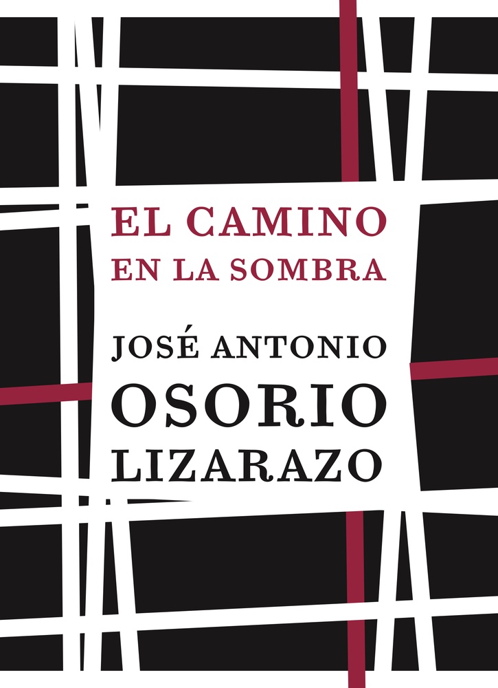 El camino en la sombra